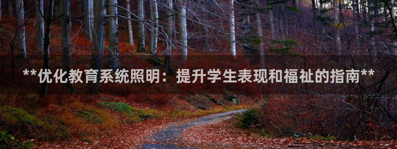 **优化教育系统照明：提升学生表现和福祉的指南**