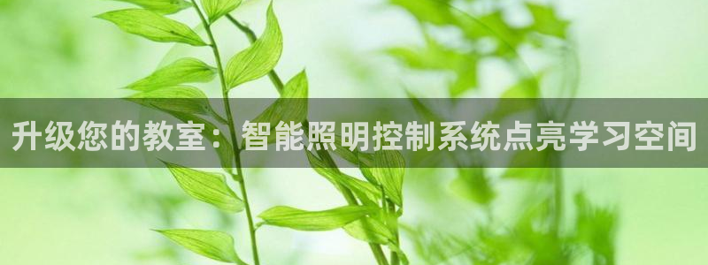 升级您的教室：智能照明控制系统点亮学习空间