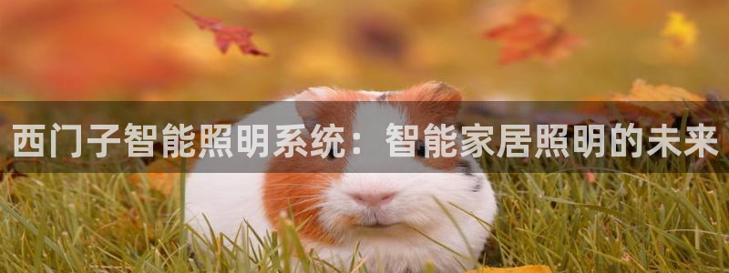 西门子智能照明系统：智能家居照明的未来