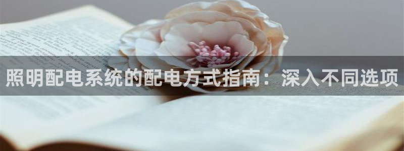 照明配电系统的配电方式指南：深入不同选项