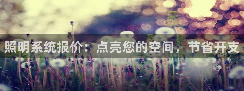 照明系统报价:点亮您的空间,节省开支