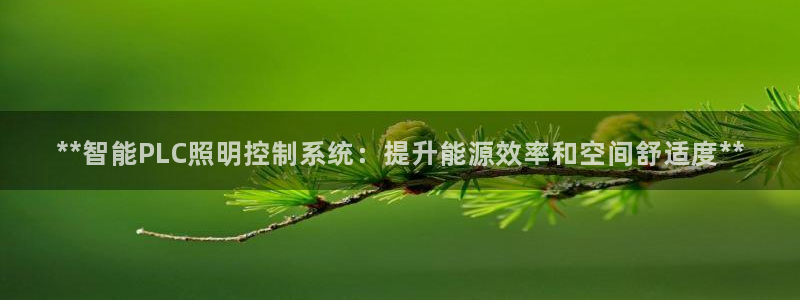 **智能PLC照明控制系统：提升能源效率和空间舒适度**