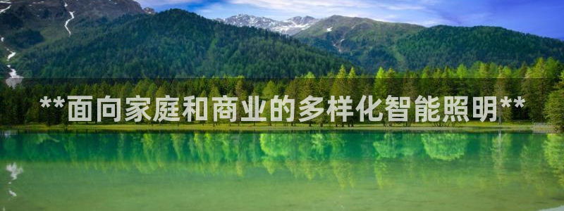 **面向家庭和商业的多样化智能照明**