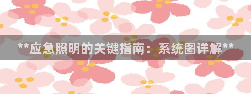 **应急照明的关键指南：系统图详解**