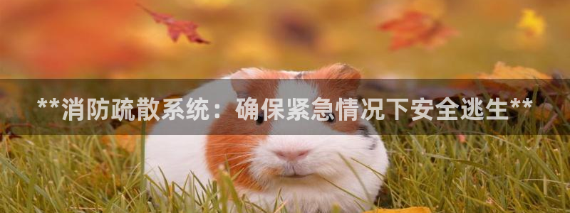 **消防疏散系统：确保紧急情况下安全逃生**