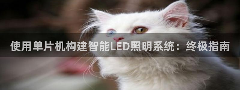 使用单片机构建智能LED照明系统：终极指南