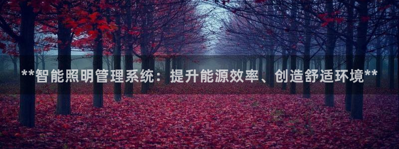 **智能照明管理系统：提升能源效率、创造舒适环境**