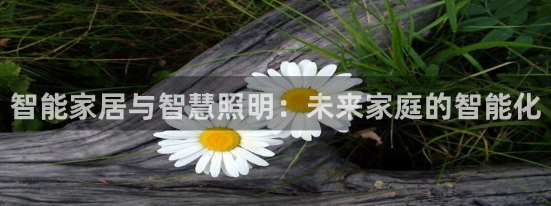 智能家居与智慧照明：未来家庭的智能化