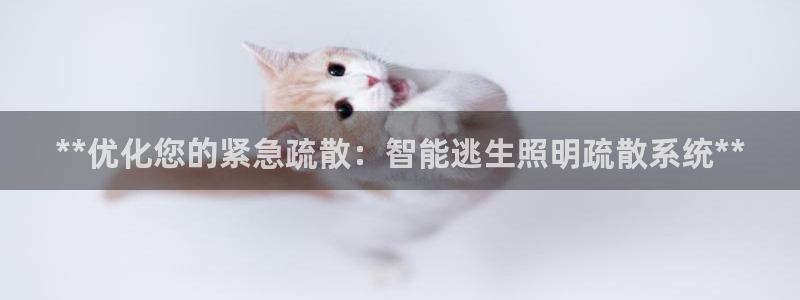 **优化您的紧急疏散：智能逃生照明疏散系统**