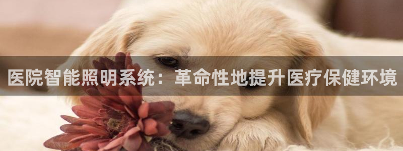 医院智能照明系统:革命性地提升医疗保健环境