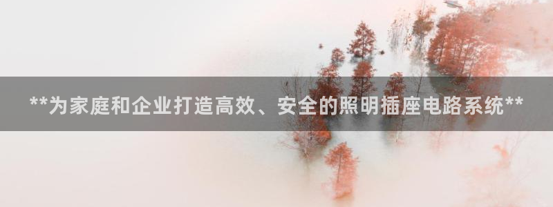 **为家庭和企业打造高效、安全的照明插座电路系统**