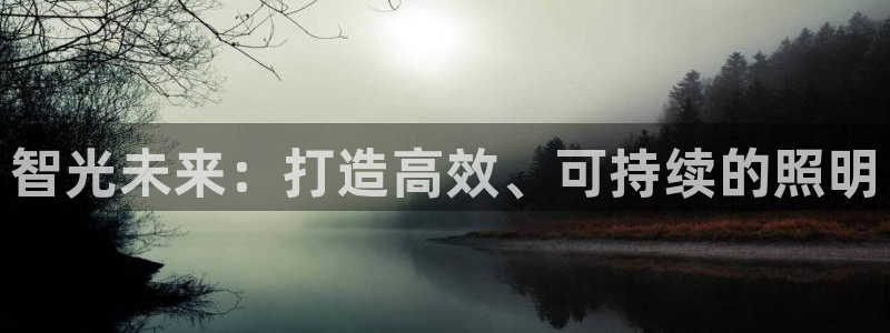智光未来：打造高效、可持续的照明