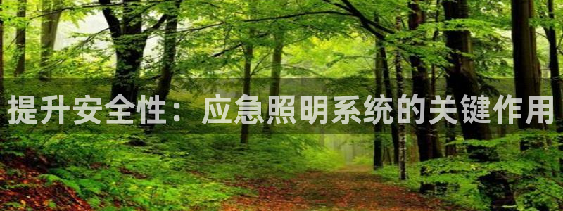 提升安全性：应急照明系统的关键作用