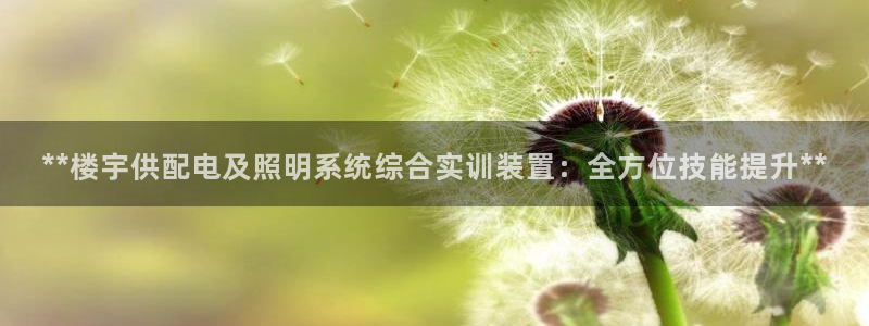 **楼宇供配电及照明系统综合实训装置:全方位技能提升**