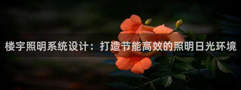 楼宇照明系统设计：打造节能高效的照明日光环境