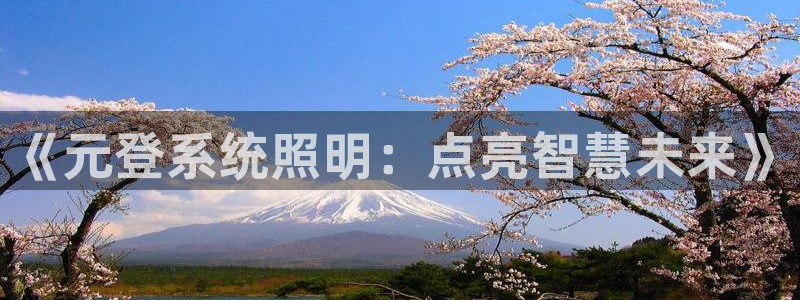 《元登系统照明：点亮智慧未来》