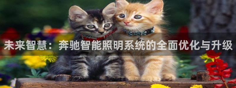 未来智慧：奔驰智能照明系统的全面优化与升级