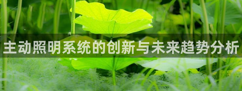 主动照明系统的创新与未来趋势分析