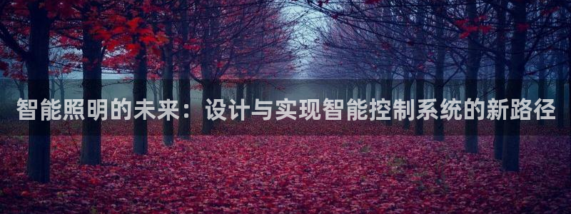 智能照明的未来:设计与实现智能控制系统的新路径