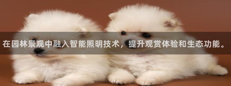 在园林景观中融入智能照明技术，提升观赏体验和生态功能。