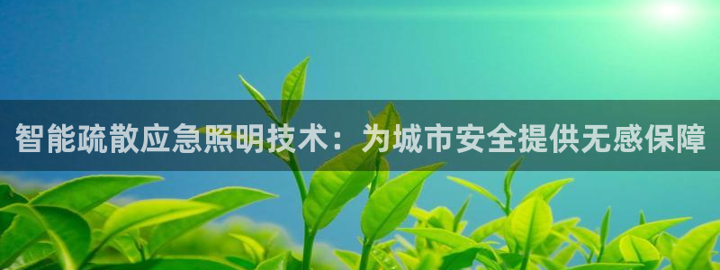 智能疏散应急照明技术：为城市安全提供无感保障