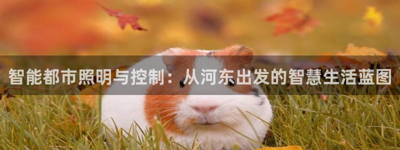 智能都市照明与控制：从河东出发的智慧生活蓝图