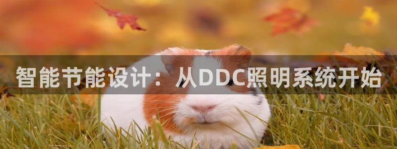 智能节能设计:从DDC照明系统开始
