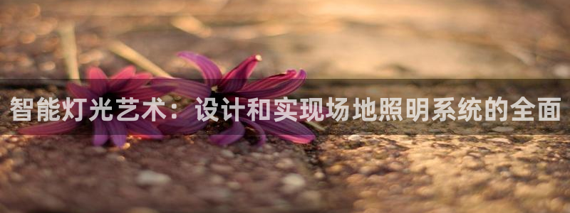 智能灯光艺术：设计和实现场地照明系统的全
