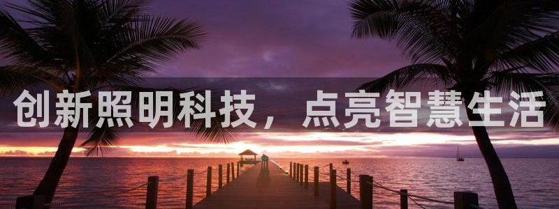 创新照明科技，点亮智慧生活