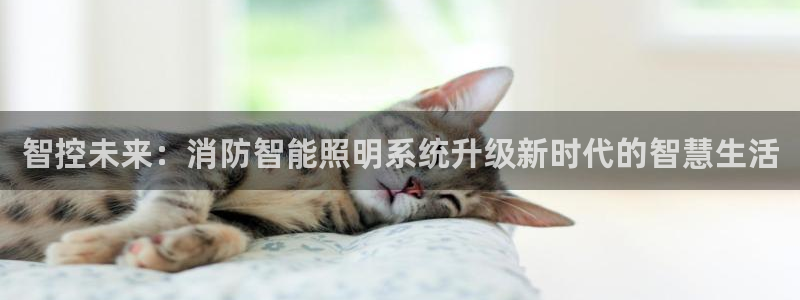智控未来：消防智能照明系统升级新时代的智慧生活