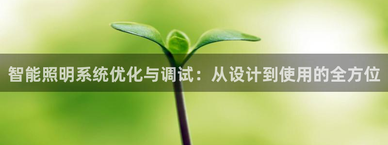 智能照明系统优化与调试：从设计到使用的全方位