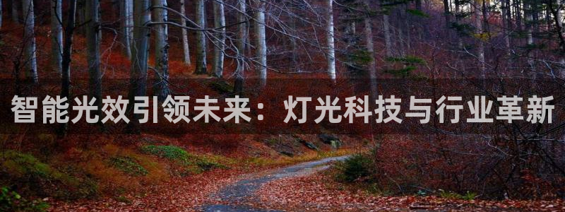 智能光效引领未来：灯光科技与行业革新
