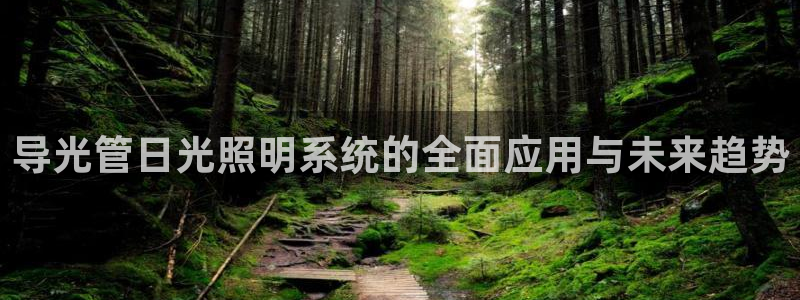 导光管日光照明系统的全面应用与未来趋势
