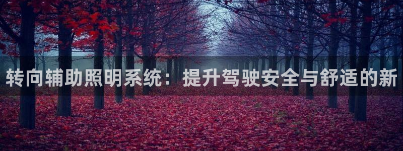 转向辅助照明系统：提升驾驶安全与舒适的新