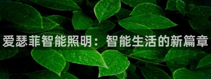爱瑟菲智能照明：智能生活的新篇章