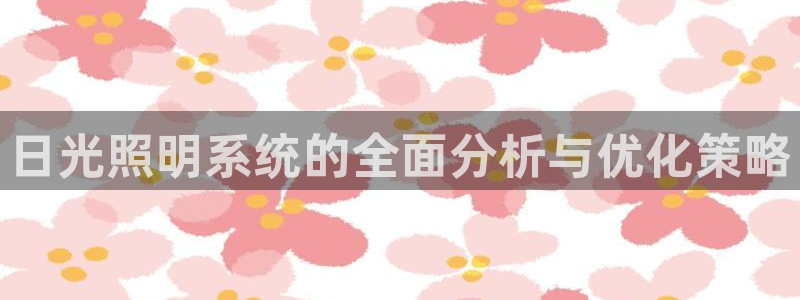 日光照明系统的全面分析与优化策略