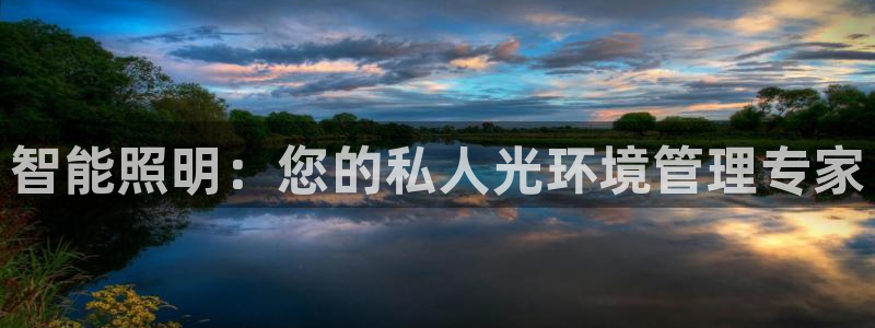 智能照明：您的私人光环境管理专家
