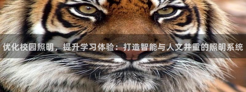 优化校园照明，提升学习体验：打造智能与人文并重的照明系统