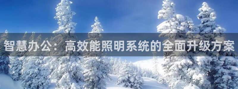 智慧办公：高效能照明系统的全面升级方案