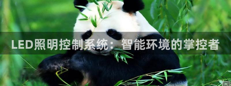 LED照明控制系统：智能环境的掌控者