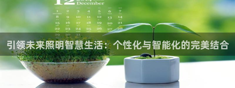 引领未来照明智慧生活：个性化与智能化的完美结合