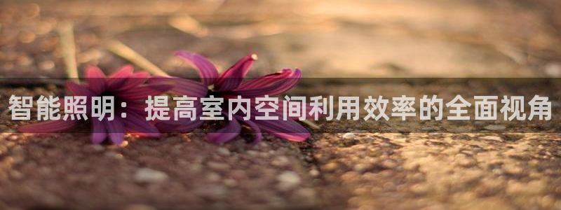 智能照明：提高室内空间利用效率的全面视角