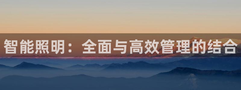 智能照明：全面与高效管理的结合