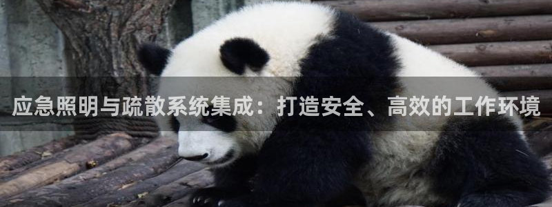 应急照明与疏散系统集成：打造安全、高效的工作环境