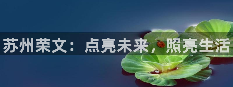 苏州荣文：点亮未来，照亮生活