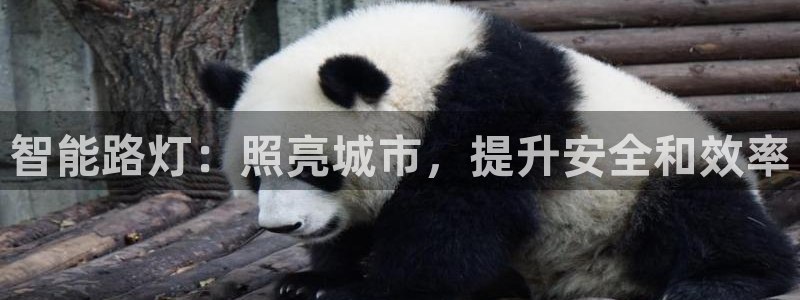 智能路灯：照亮城市，提升安全和效率