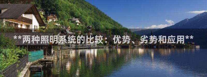 **两种照明系统的比较：优势、劣势和应用**