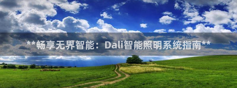 **畅享无界智能：Dali智能照明系统指南**