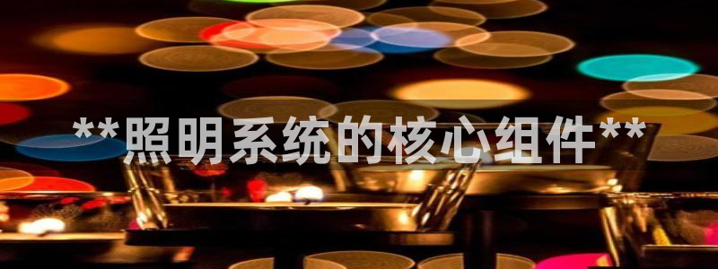 **照明系统的核心组件**