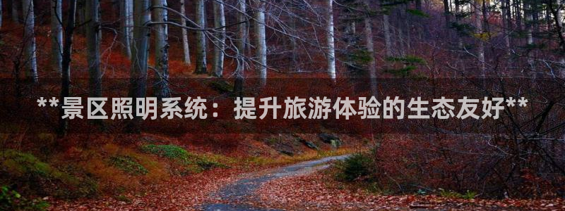 **景区照明系统：提升旅游体验的生态友好**